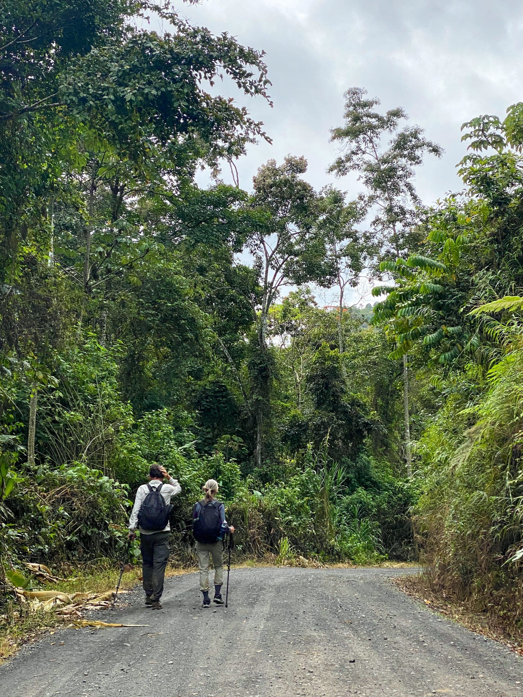 Hikers walking a gravel road through the mountains