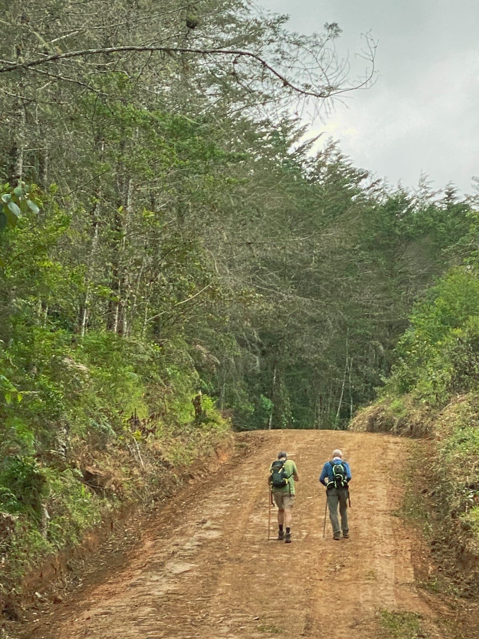 Two hikers walking a gravel road through the Costa Rican mountains