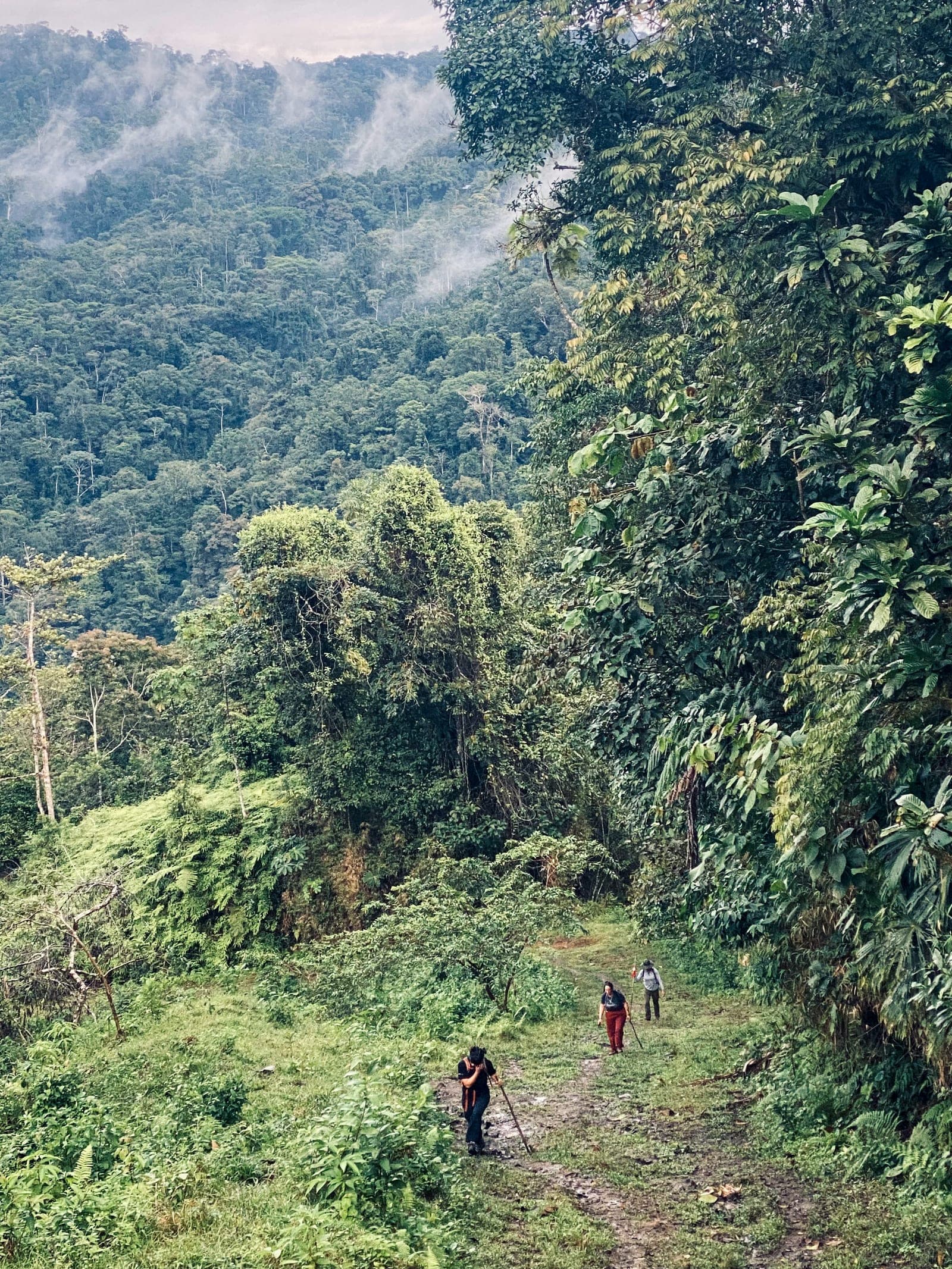 Hikers walking with a child from a local community along the trail