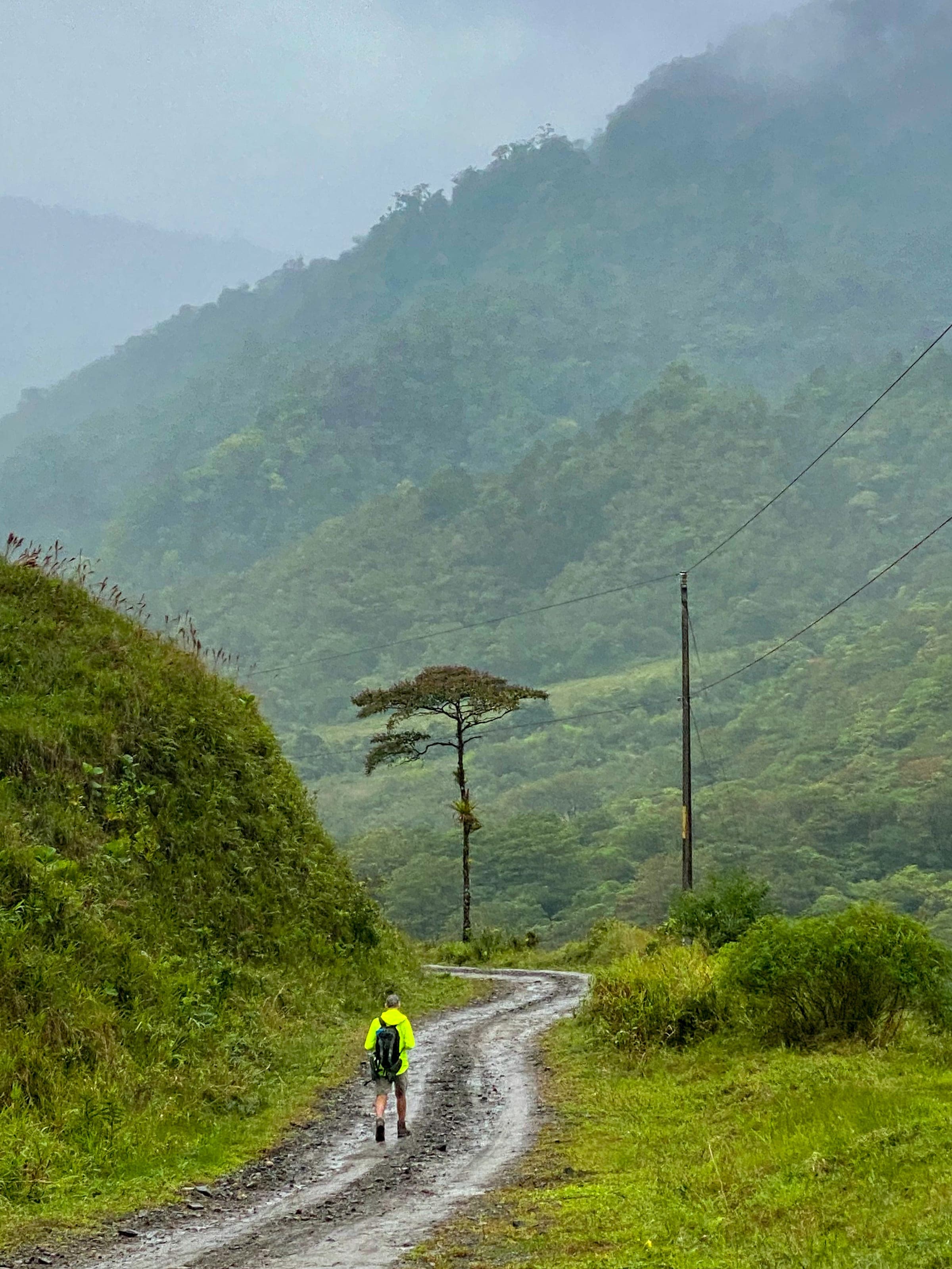Hiker walking a misty mountain road through the Cordillera de Talamanca on El Camino de Costa Rica